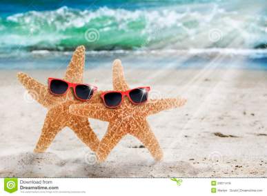 two-starfish-beach-sunglasses-29311416